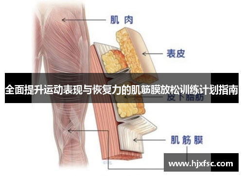全面提升运动表现与恢复力的肌筋膜放松训练计划指南